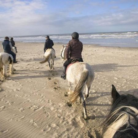Maison Independante De Vacances Hardelot Plage Neufchâtel-Hardelot Dış mekan fotoğraf