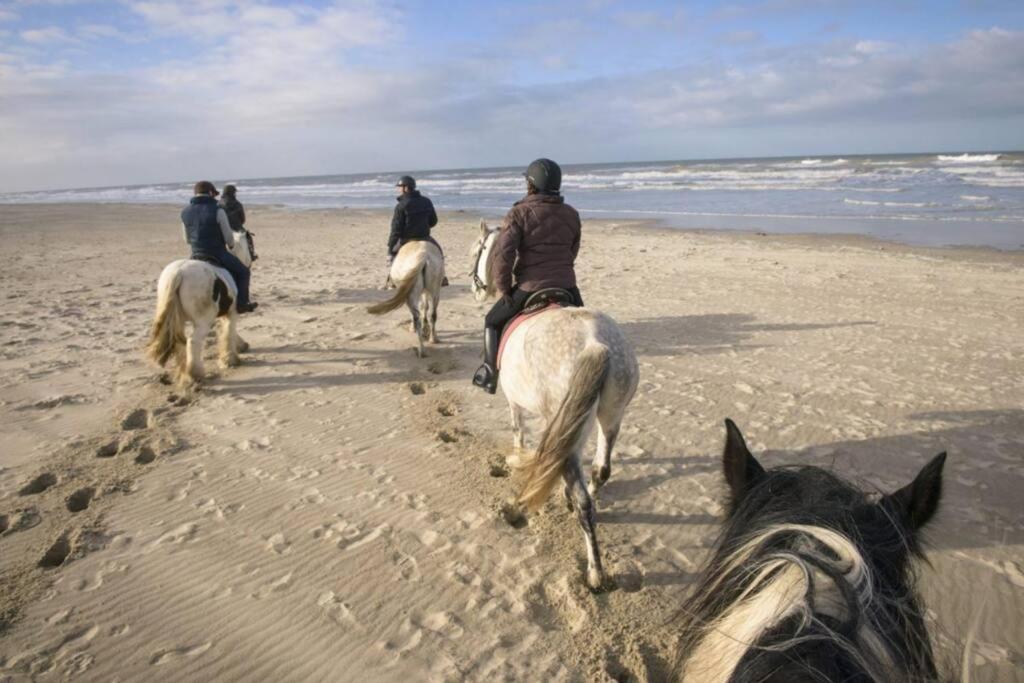 Maison Independante De Vacances Hardelot Plage Neufchâtel-Hardelot Dış mekan fotoğraf